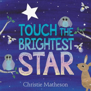 Kniha Touch the Brightest Star Christie Matheson