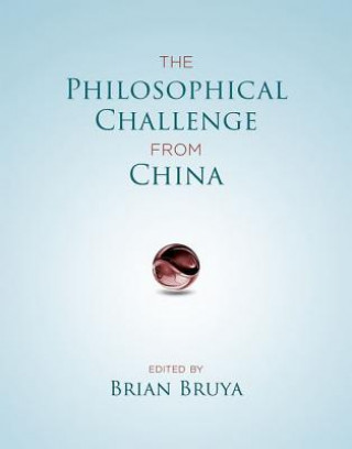 Kniha Philosophical Challenge from China Brian Bruya