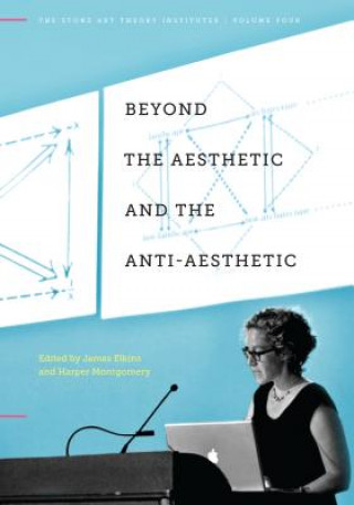 Könyv Beyond the Aesthetic and the Anti-Aesthetic James Elkins