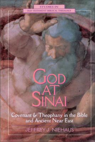 Kniha God at  Sinai Jeffrey J. Niehaus