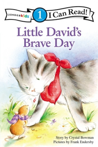 Book Little David's Brave Day Crystal Bowman