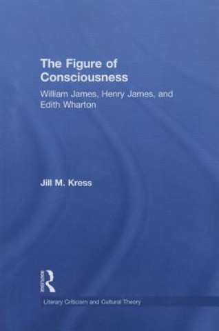 Könyv Figure of Consciousness Jill M. Kress