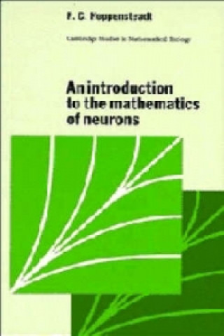 Buch Introduction to the Mathematics of Neurons Hoppensteadt