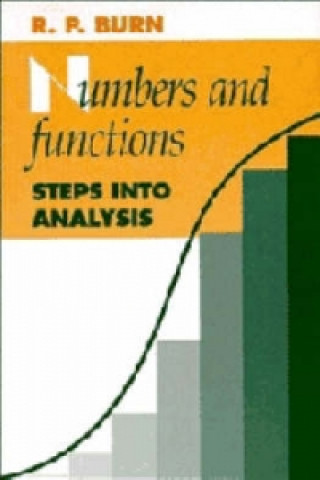 Książka Numbers and Functions R. P. Burn