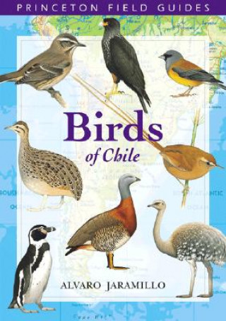 Книга Birds of Chile Alvaro Jaramillo