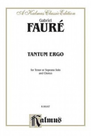 Carte FAURE TANTUM ERGO V Gabriel Faur'