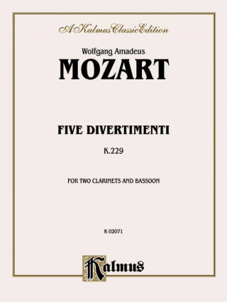 Kniha MOZART 5 DIVERTIMENTI WW TRIO Wolfgang Mozart