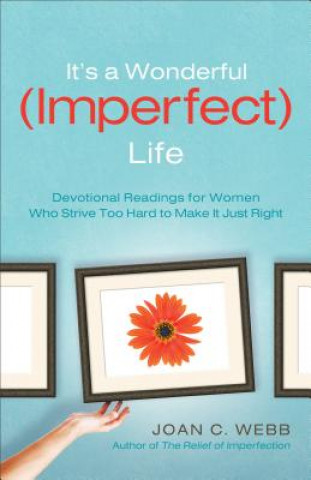 Carte It's a Wonderful (Imperfect) Life Joan C Webb