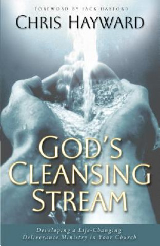 Buch God's Cleansing Stream Chris Hayward