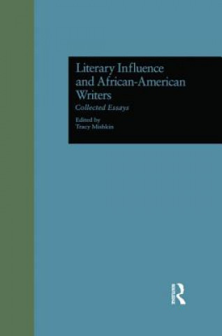 Könyv Literary Influence and African-American Writers 