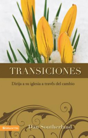 Kniha Transiciones Dan Southerland