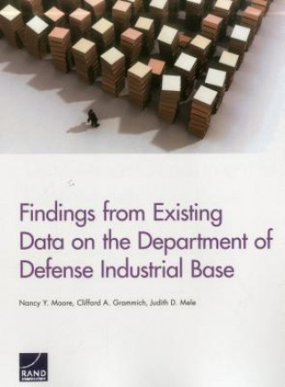 Kniha Findings from Existing Data on the Department of Defense Industrial Base Nancy Y. Moore