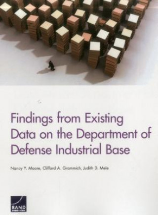 Książka Findings from Existing Data on the Department of Defense Industrial Base Nancy Y. Moore