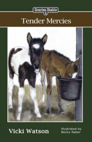 Buch Sonrise Stable Vicki Watson