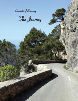 Kniha Concepts of Recovery The Journey LACE