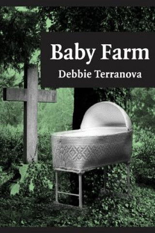 Książka Baby Farm Debbie Terranova