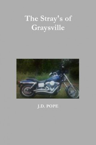 Book Stray's of Graysville J D Pope