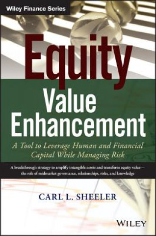 Könyv Equity Value Enhancement -  A Tool to Leverage Human and Financial Capital While Managing Risk Carl L Sheeler