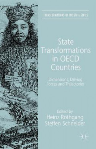 Книга State Transformations in OECD Countries Steffen Schneider