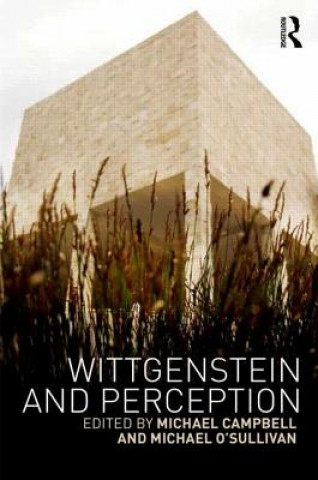 Könyv Wittgenstein and Perception 