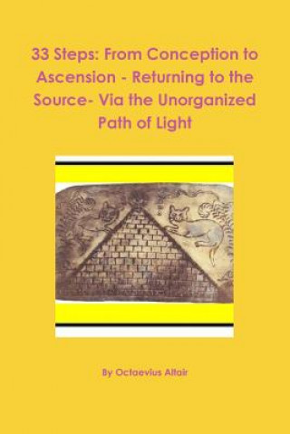Kniha 33 Steps: from Conception to Ascension - Returning to the Source- via the Unorganized Path of Light Octaevius Altair