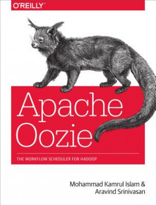 Könyv Apache Oozie Aravind Srinivasan