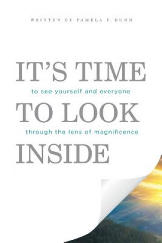 Buch It's Time to Look Inside Pamela P Dunn