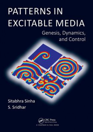 Knjiga Patterns in Excitable Media Sitabhra Sinha