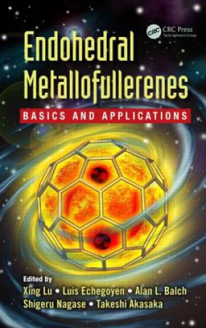 Książka Endohedral Metallofullerenes Xing Lu