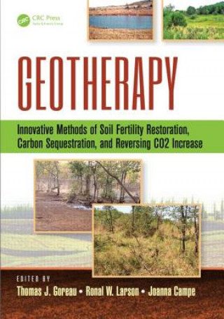 Kniha Geotherapy Ronal W. Larson