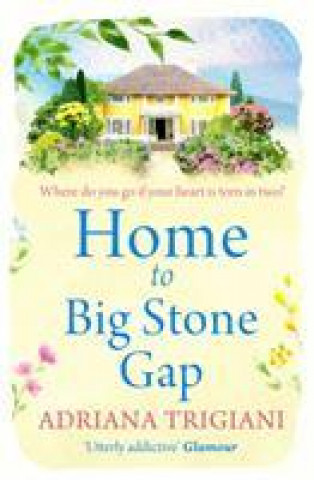 Book Home to Big Stone Gap Adriana Trigiani