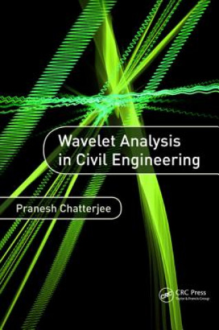 Kniha Wavelet Analysis in Civil Engineering Pranesh Chatterjee