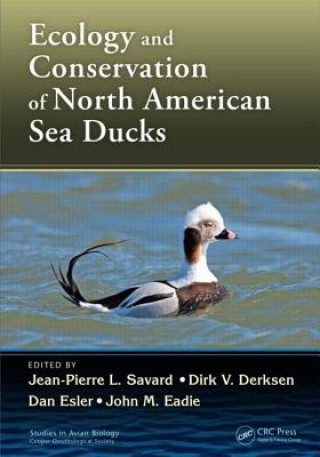 Kniha Ecology and Conservation of North American Sea Ducks Jean-Pierre L. Savard