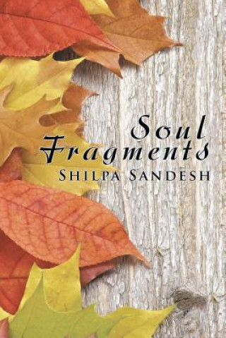 Kniha Soul Fragments SHILPA SANDESH