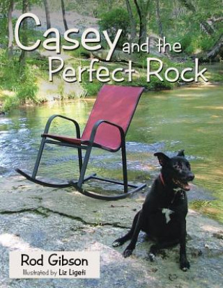 Libro Casey and the Perfect Rock Rod Gibson