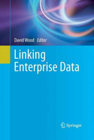 Boek Linking Enterprise Data David Wood