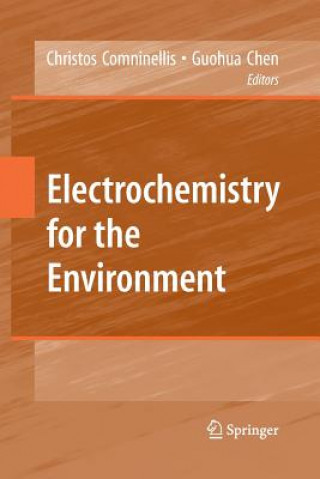 Kniha Electrochemistry for the Environment Guohua Chen