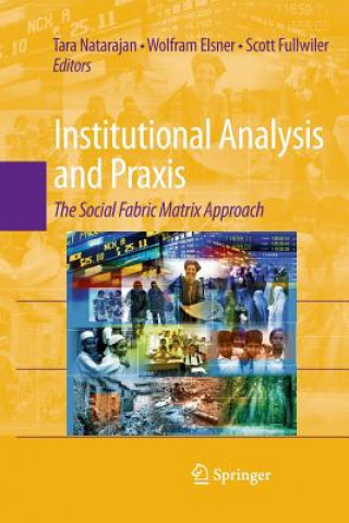 Kniha Institutional Analysis and Praxis Wolfram Elsner