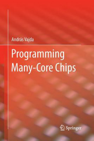 Książka Programming Many-Core Chips Andras Vajda