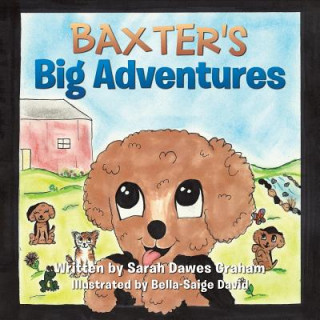 Carte Baxter's Big Adventures SARAH DAWES GRAHAM