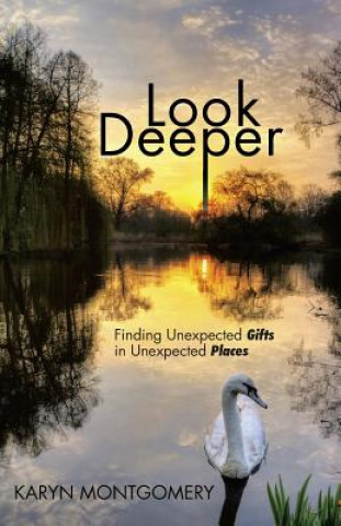 Knjiga Look Deeper Karyn Montgomery