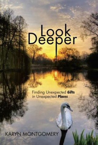 Knjiga Look Deeper Karyn Montgomery