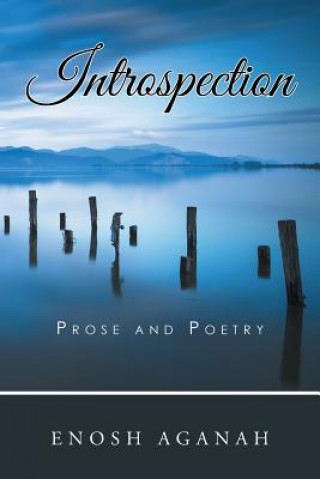 Kniha Introspection ENOSH AGANAH