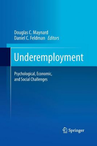 Carte Underemployment Daniel C. Feldman