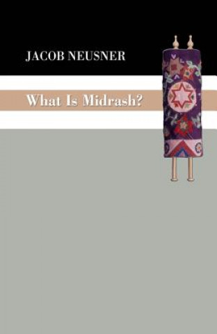 Knjiga What Is Midrash? Neusner