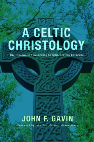 Kniha Celtic Christology John F. Gavin