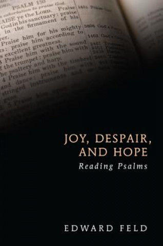 Книга Joy, Despair, and Hope Rabbi Edward Feld
