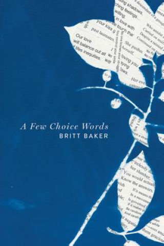 Kniha Few Choice Words Britt Baker