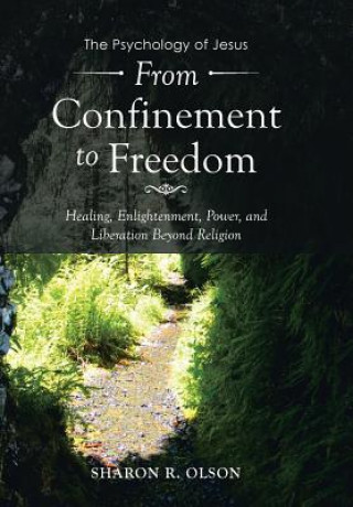 Livre From Confinement to Freedom Sharon R Olson