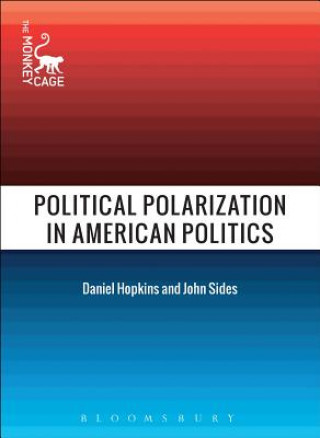 Könyv Political Polarization in American Politics 